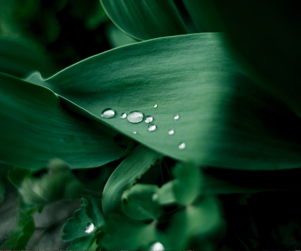 Çevre Duyarlılığımız